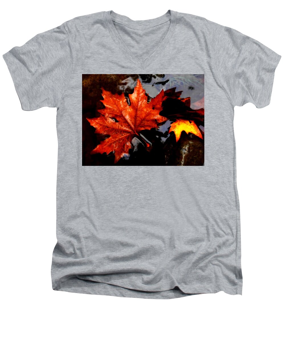 Autumn Men's V-Neck T-Shirt featuring the photograph Autumn Leaves in Tumut by Lexa Harpell