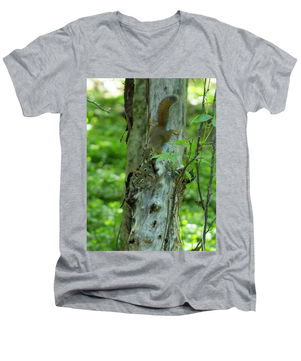 Squirrels Men's V-Neck T-Shirt featuring the photograph Baby Squirrels by Geoff Jewett