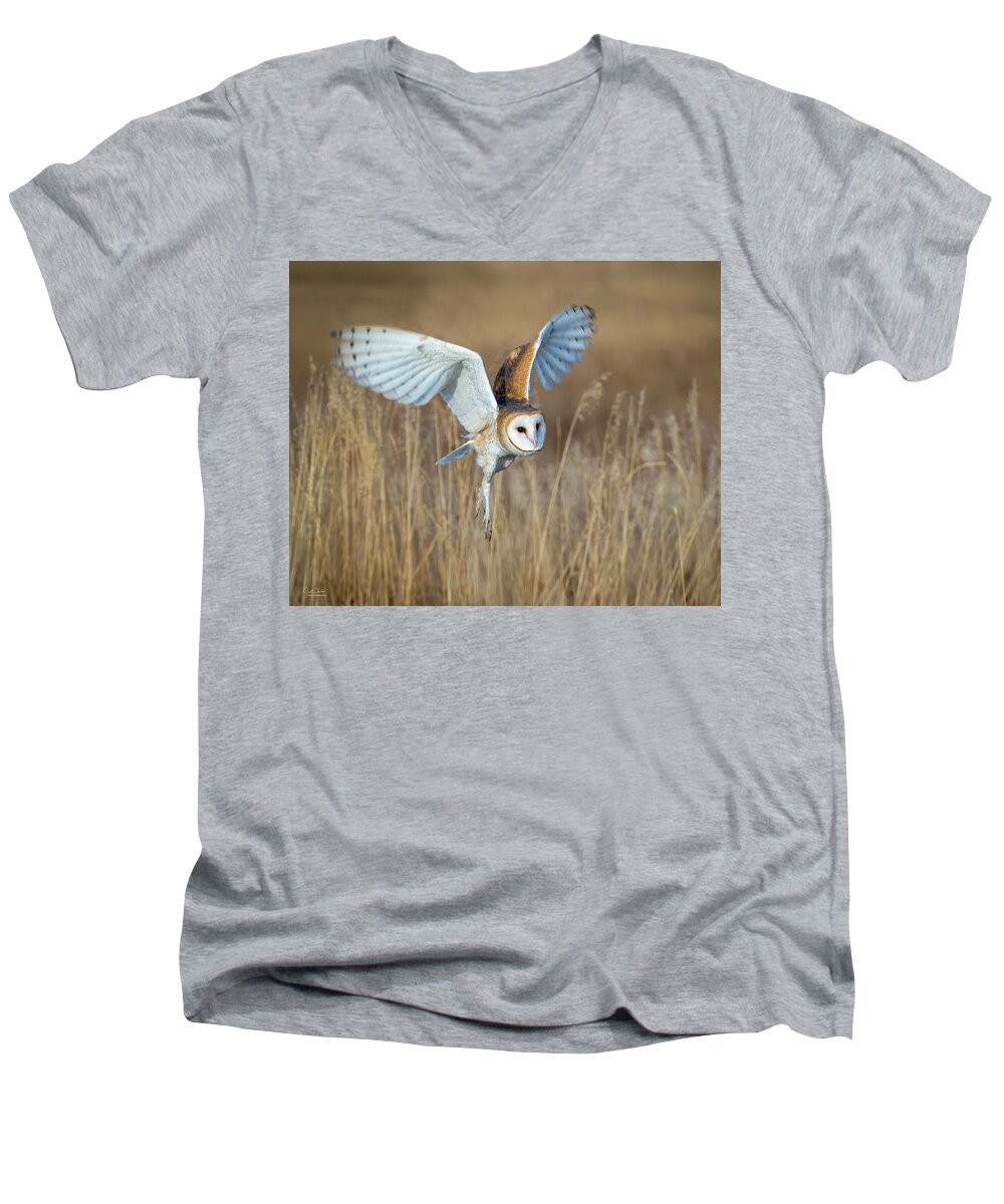 Barn Owl Men's V-Neck T-Shirt featuring the photograph Barn Owl in Grass by Judi Dressler