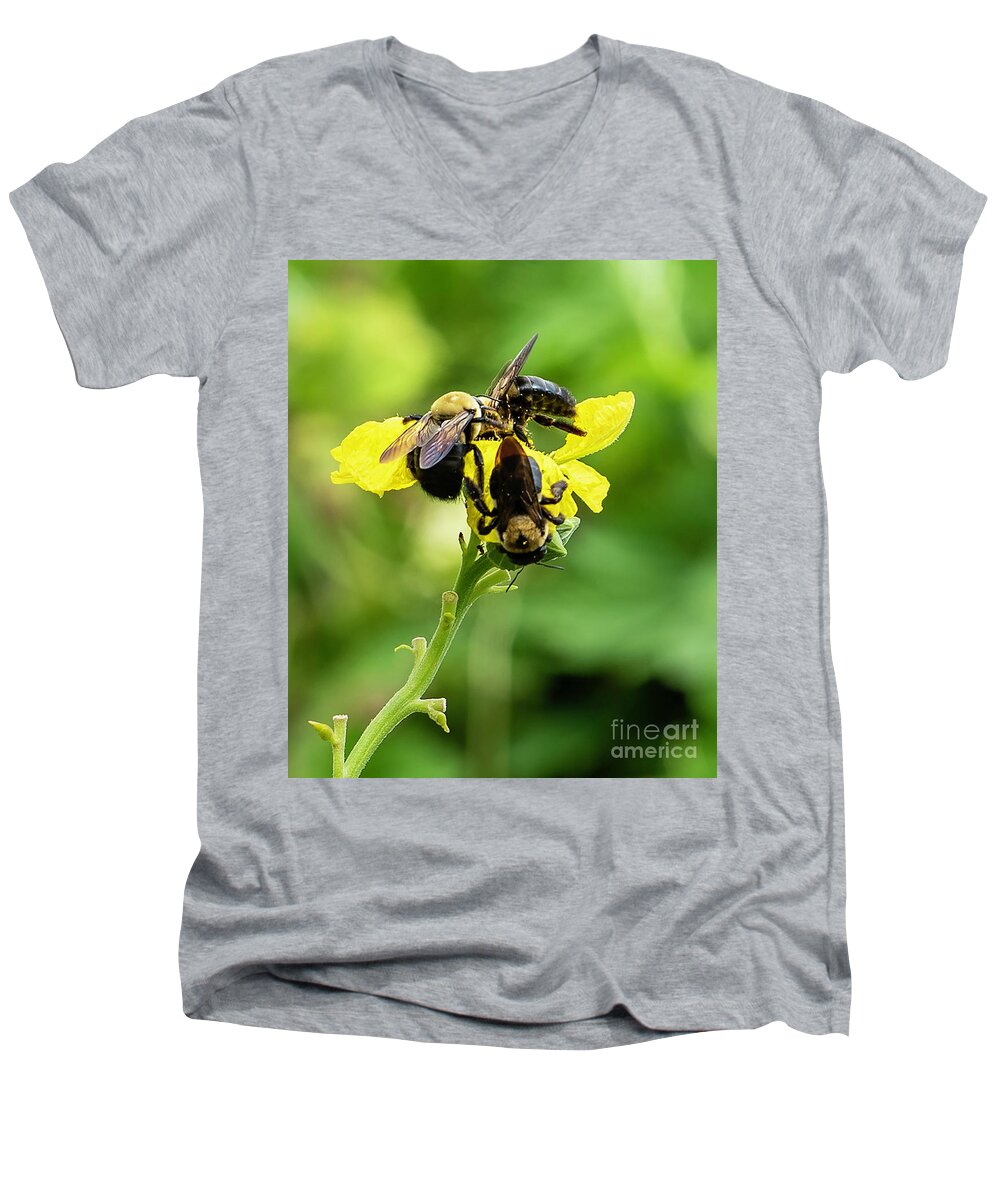 Bees Men's V-Neck T-Shirt featuring the photograph Bees on Flower by Cathy Donohoue