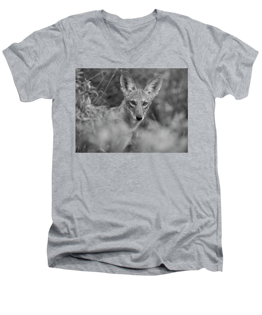 Coyote Men's V-Neck T-Shirt featuring the photograph Coyote Strong by Sue Cullumber