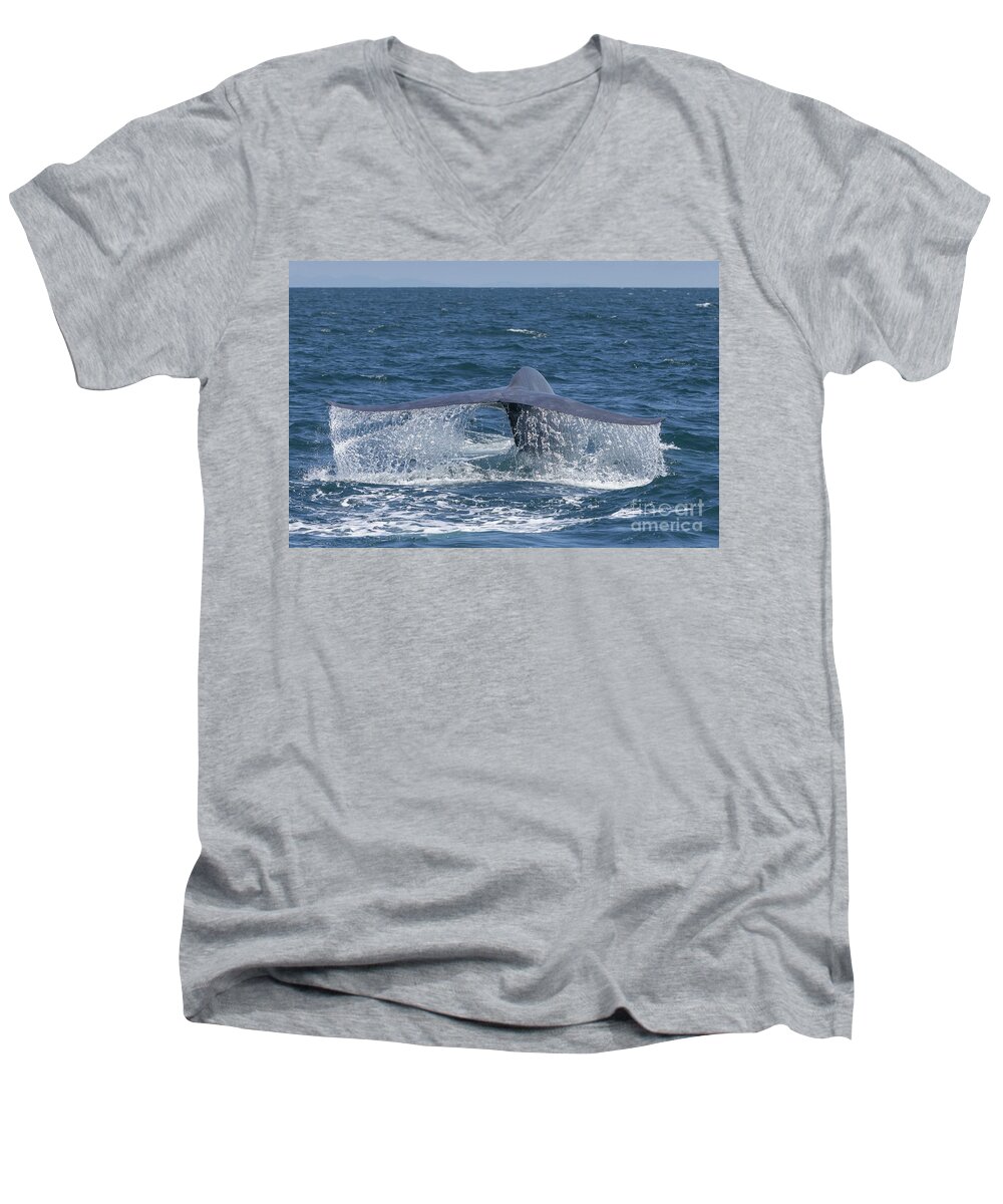Dana Wharf Men's V-Neck T-Shirt featuring the photograph Blue Whale Fluke Waterfall by Loriannah Hespe