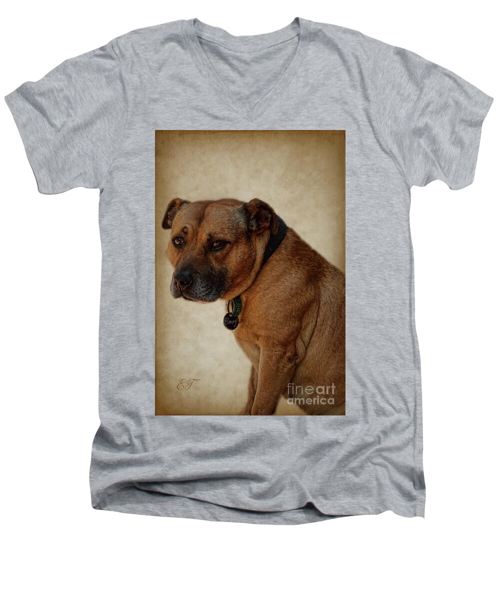 Animal Men's V-Neck T-Shirt featuring the photograph Boof by Elaine Teague