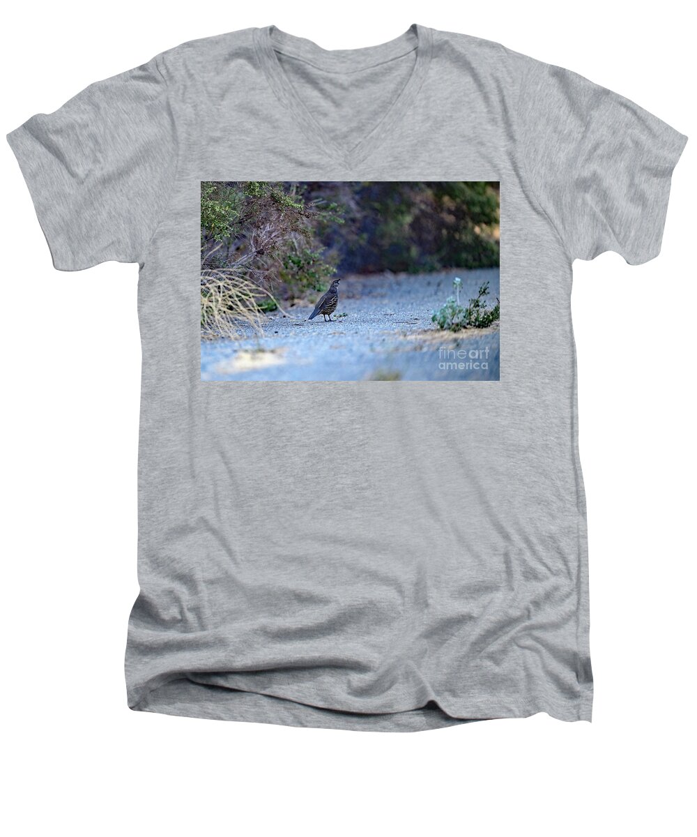 Bird Men's V-Neck T-Shirt featuring the photograph California Quail in the Wild by Amazing Action Photo Video