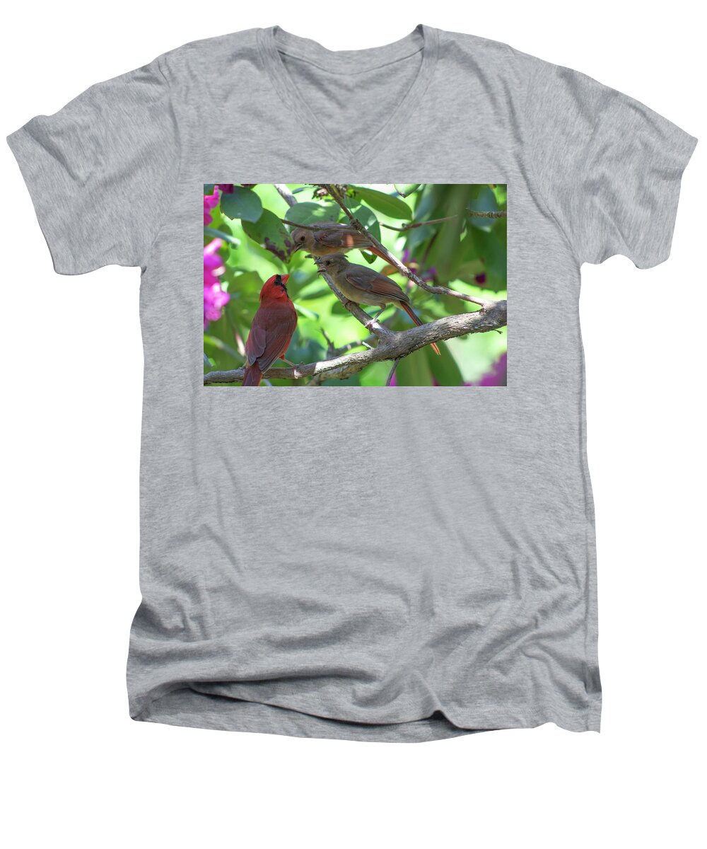 Bird Men's V-Neck T-Shirt featuring the photograph Discussion by Geoff Jewett