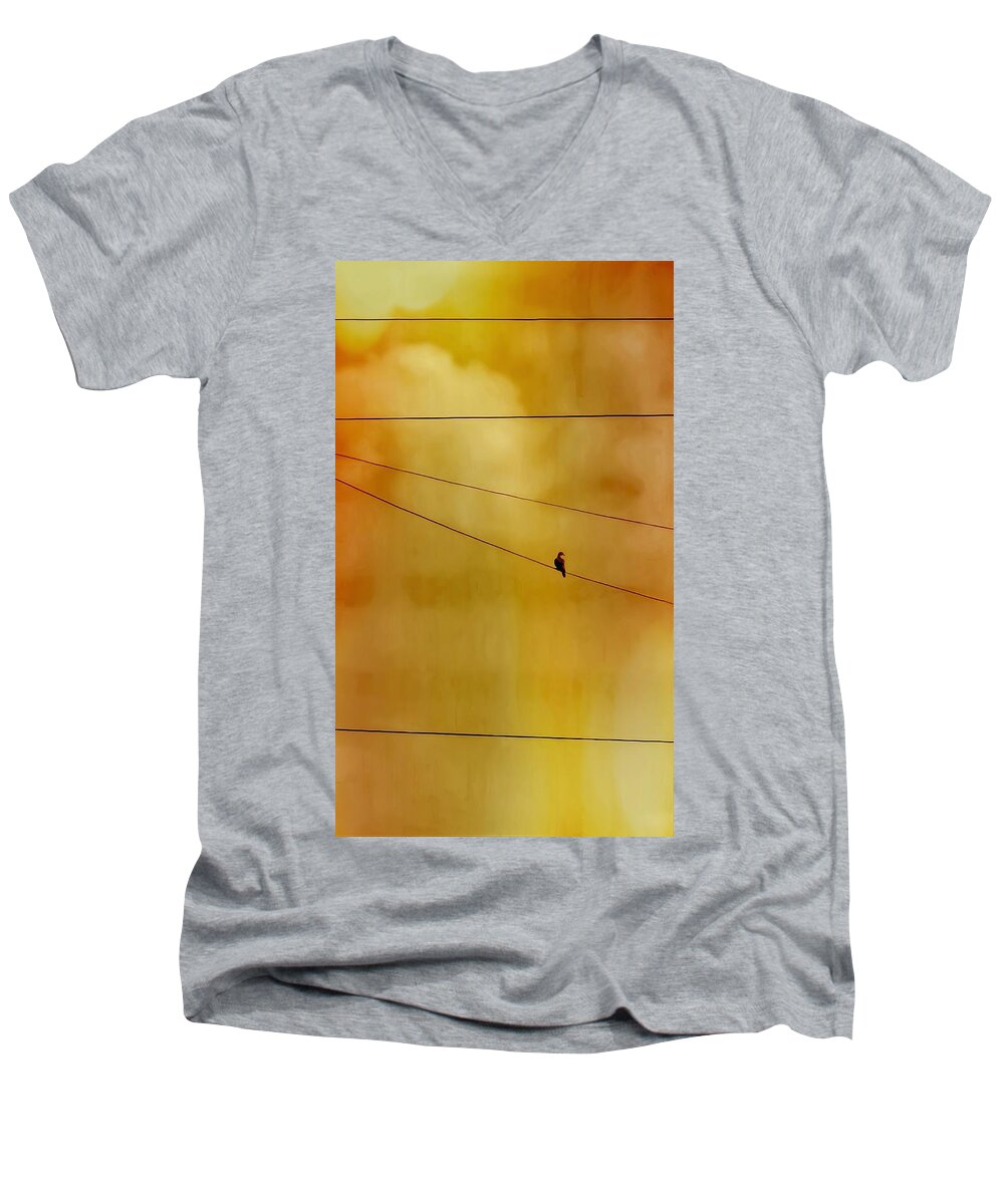 Perching Men's V-Neck T-Shirt featuring the photograph Dove on a Wire - Gold by Judy Kennedy
