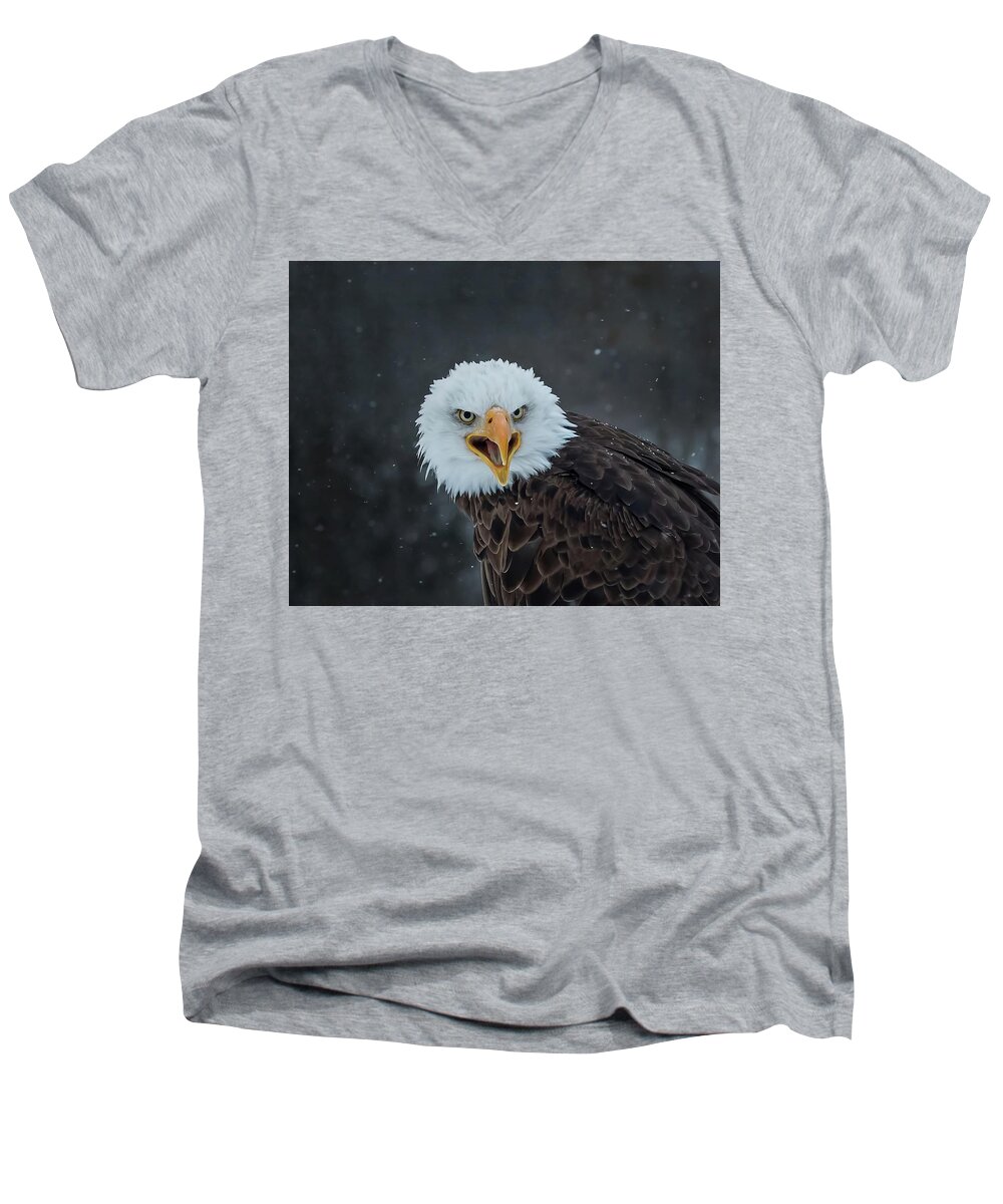 Eagle Men's V-Neck T-Shirt featuring the photograph Eagle Stare by CR Courson