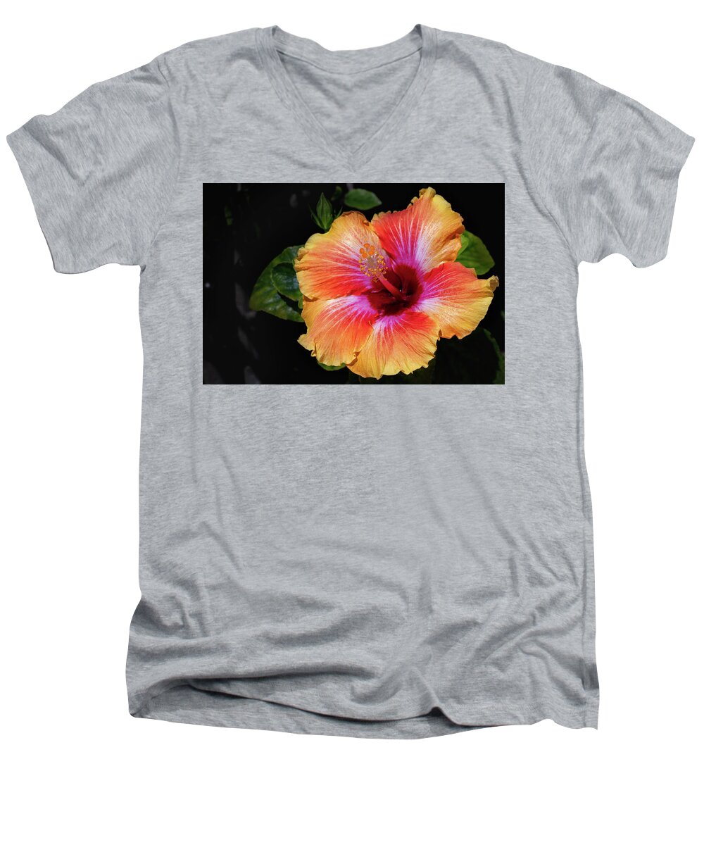 Flowers & Plants Men's V-Neck T-Shirt featuring the photograph Fiesta Hibiscus by Adam Johnson