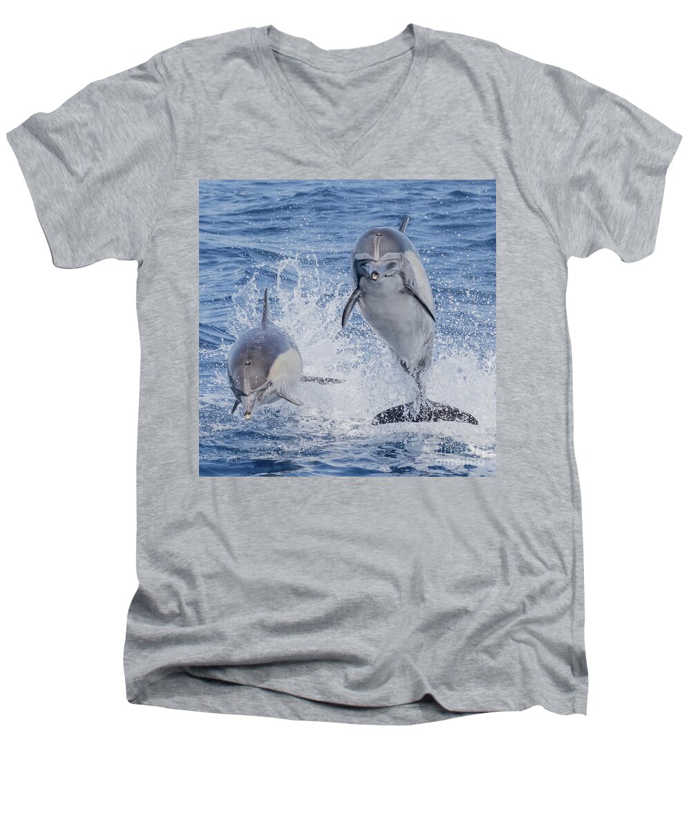 Dana Wharf Men's V-Neck T-Shirt featuring the photograph Flying Dolphin Friends by Loriannah Hespe