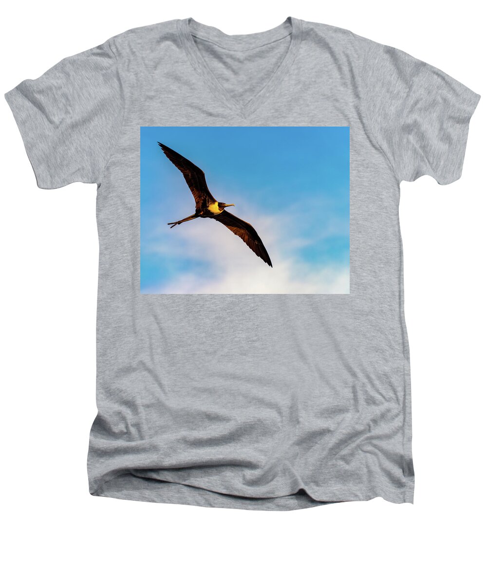Bird Men's V-Neck T-Shirt featuring the photograph Frigatebird by William Dickman