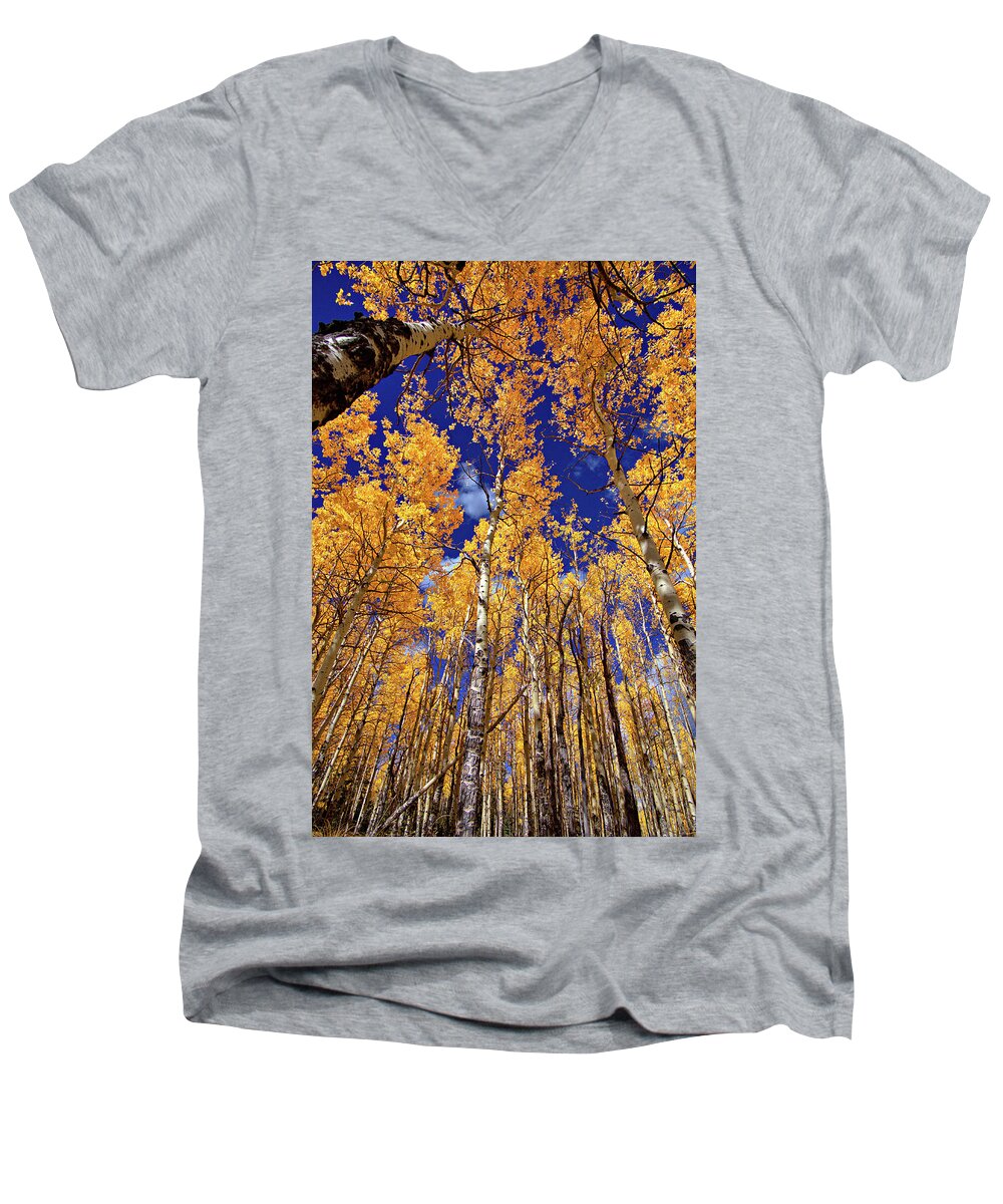 Fall Colors Men's V-Neck T-Shirt featuring the photograph Golden Aspens by Bob Falcone