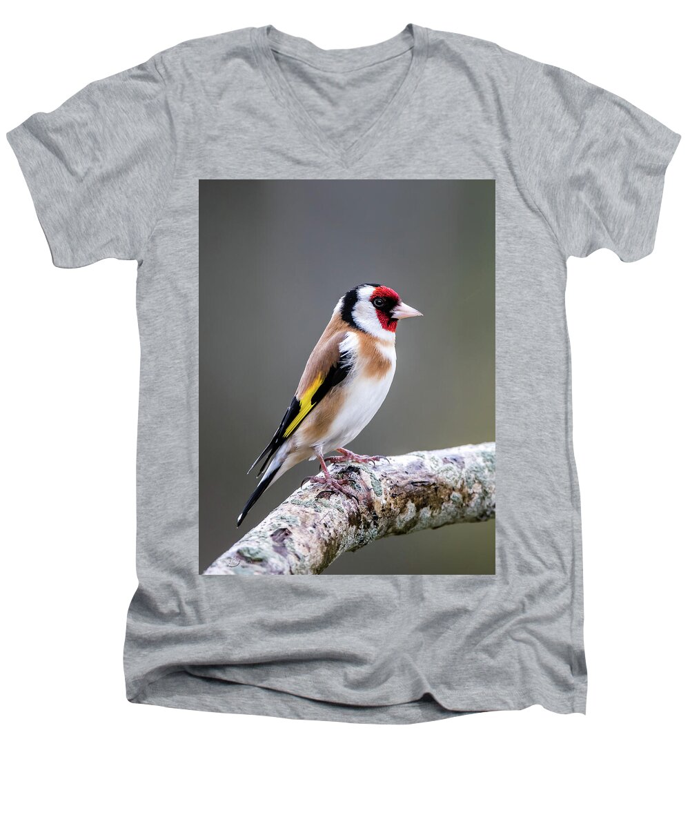 Goldfinch Men's V-Neck T-Shirt featuring the photograph Goldfinch perching on an oak branch by Torbjorn Swenelius