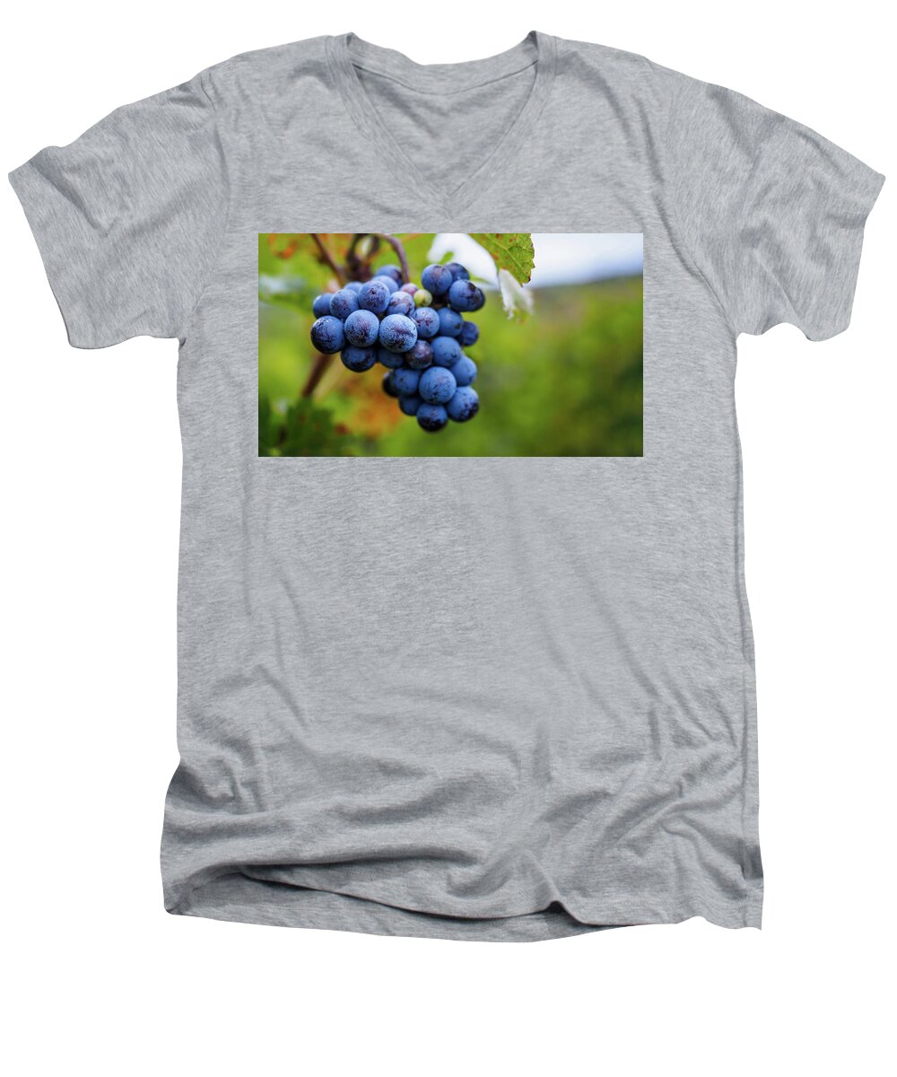 Agriculture Men's V-Neck T-Shirt featuring the photograph Grapes on the vine by Robert Miller
