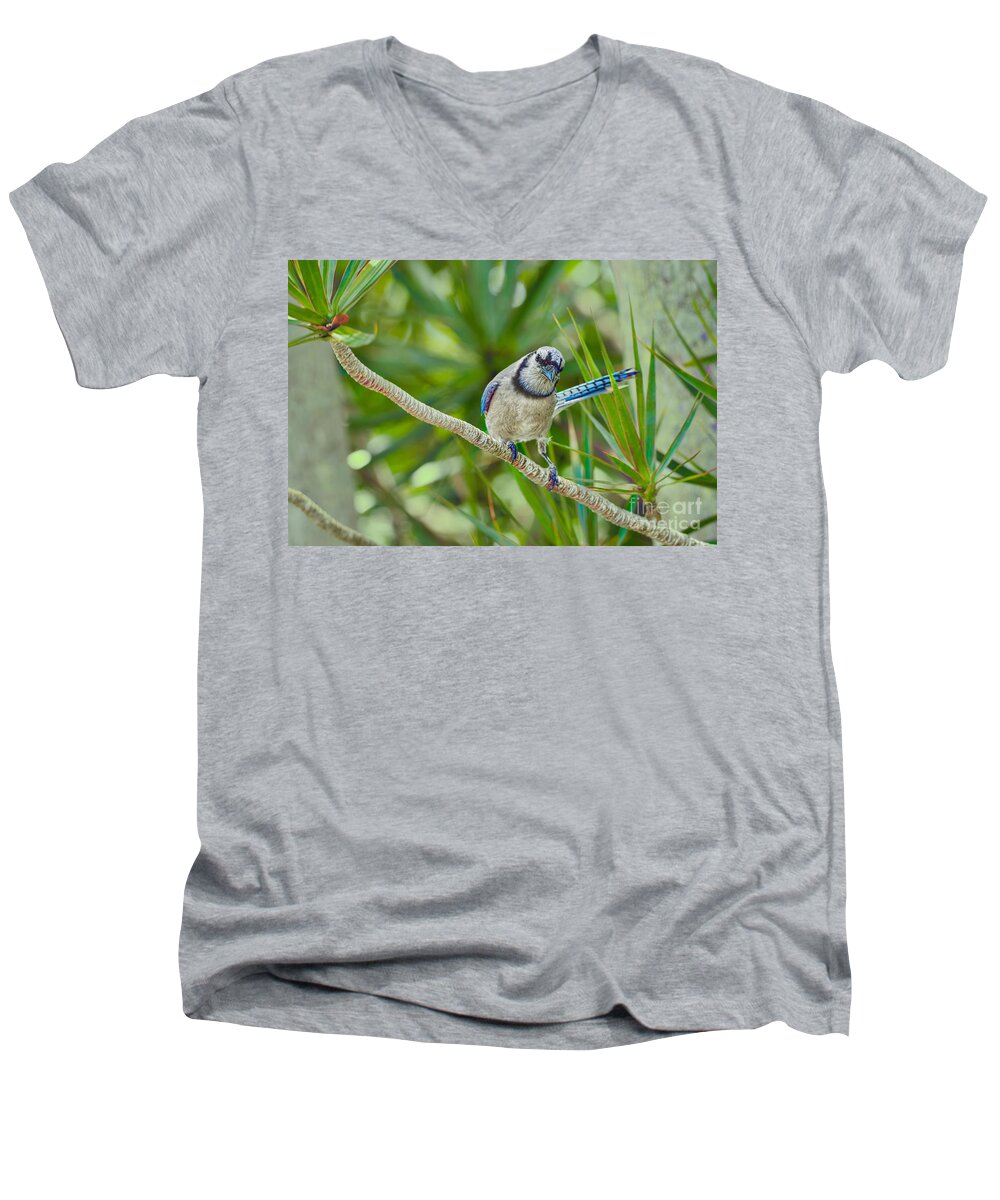 Birds Men's V-Neck T-Shirt featuring the photograph Here's Looking at You by Judy Kay