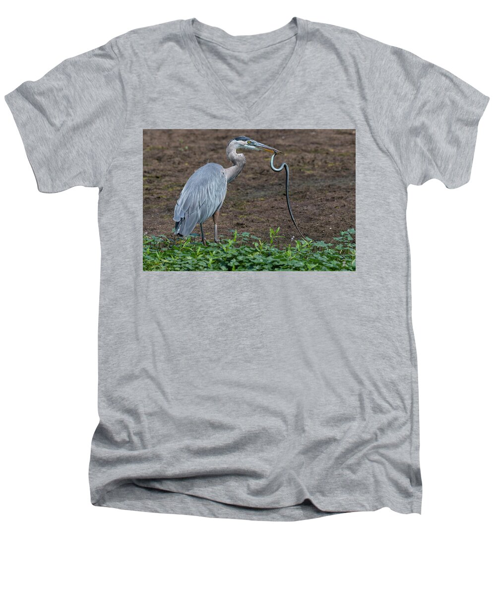 Afternoon Men's V-Neck T-Shirt featuring the photograph Heron and Garter Snake by Robert Potts