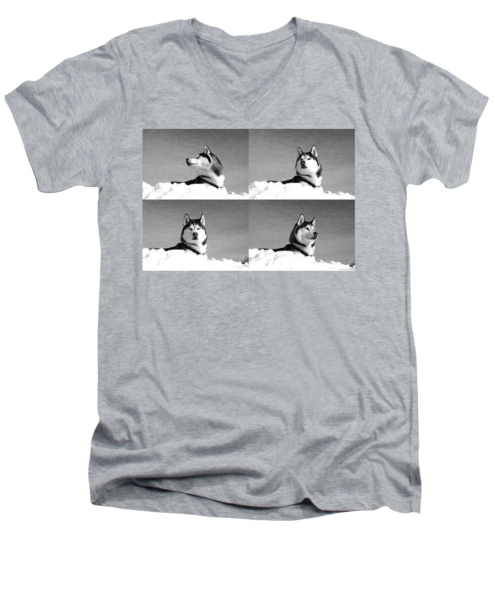 Dog Men's V-Neck T-Shirt featuring the photograph Husky Dog Collage by Sumit Mehndiratta