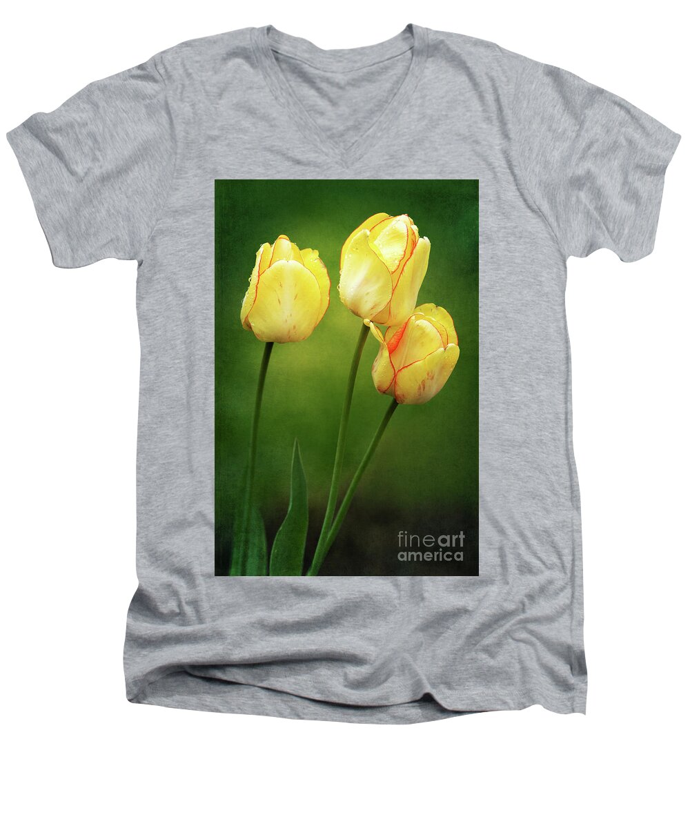 Beauty Of Spring Men's V-Neck T-Shirt featuring the photograph Lean on Me by Anita Pollak