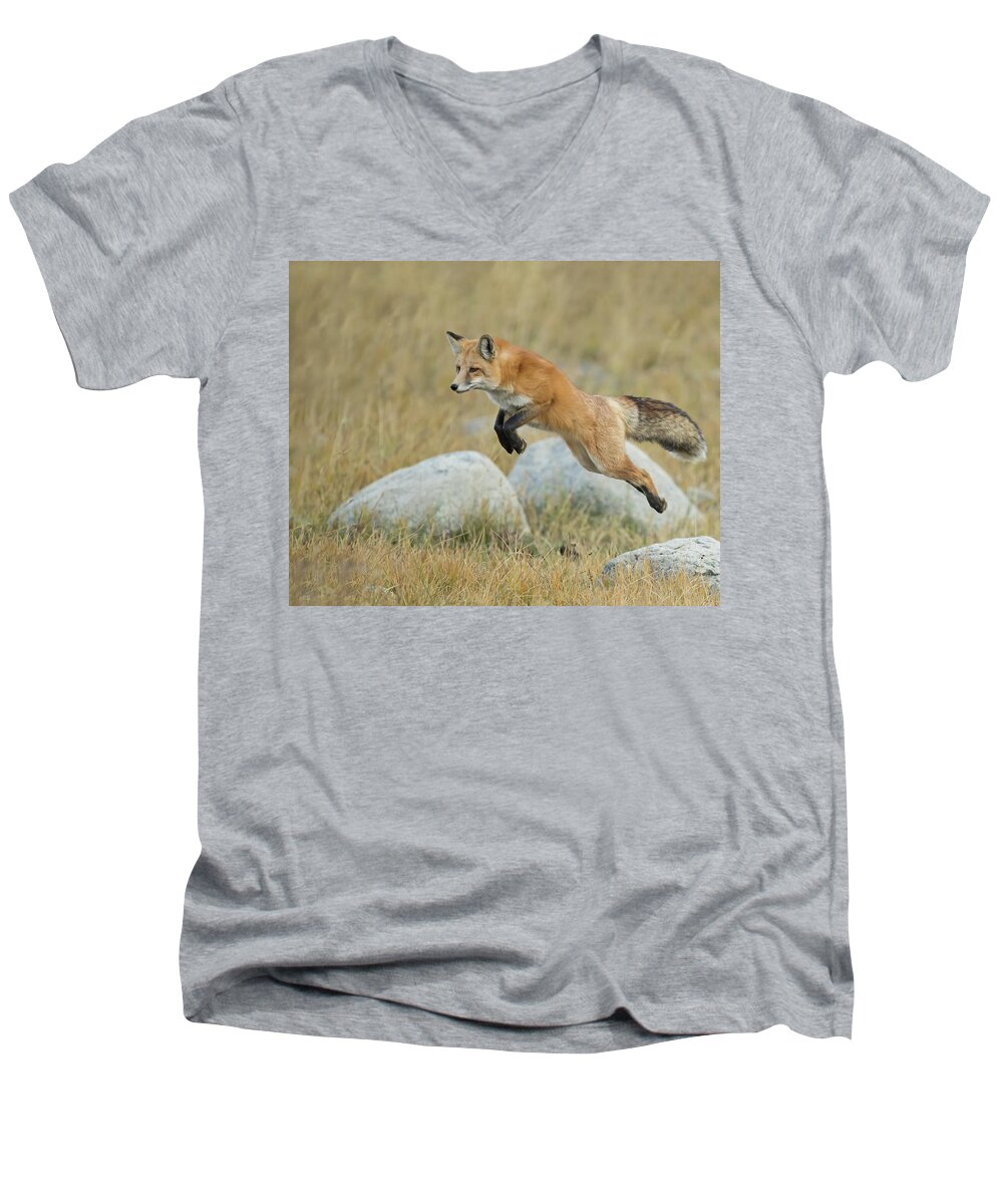 Fox Men's V-Neck T-Shirt featuring the photograph Lethal Leap by CR Courson