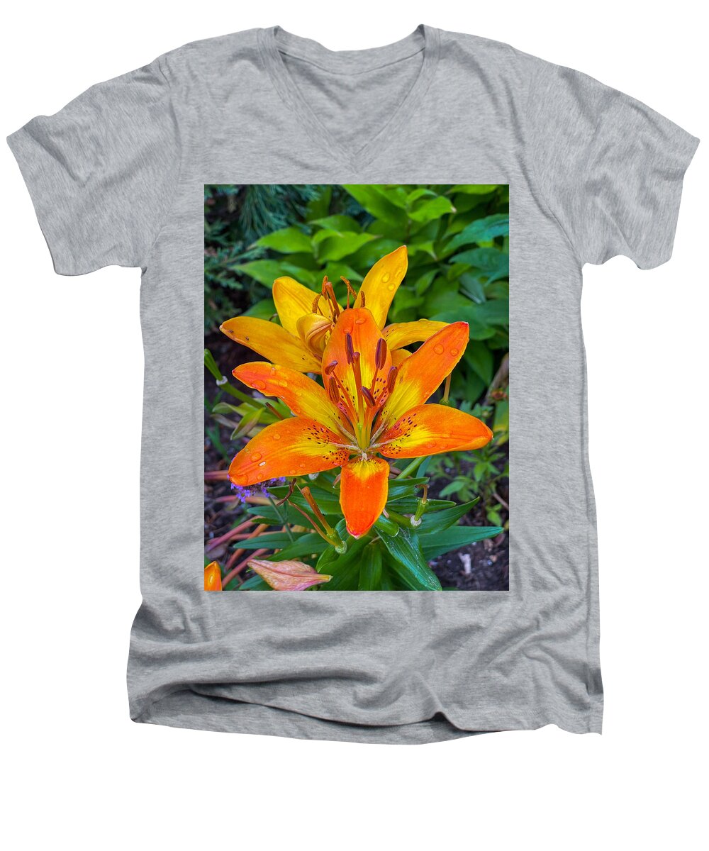 Lilies Men's V-Neck T-Shirt featuring the photograph Lilies by Don Wright