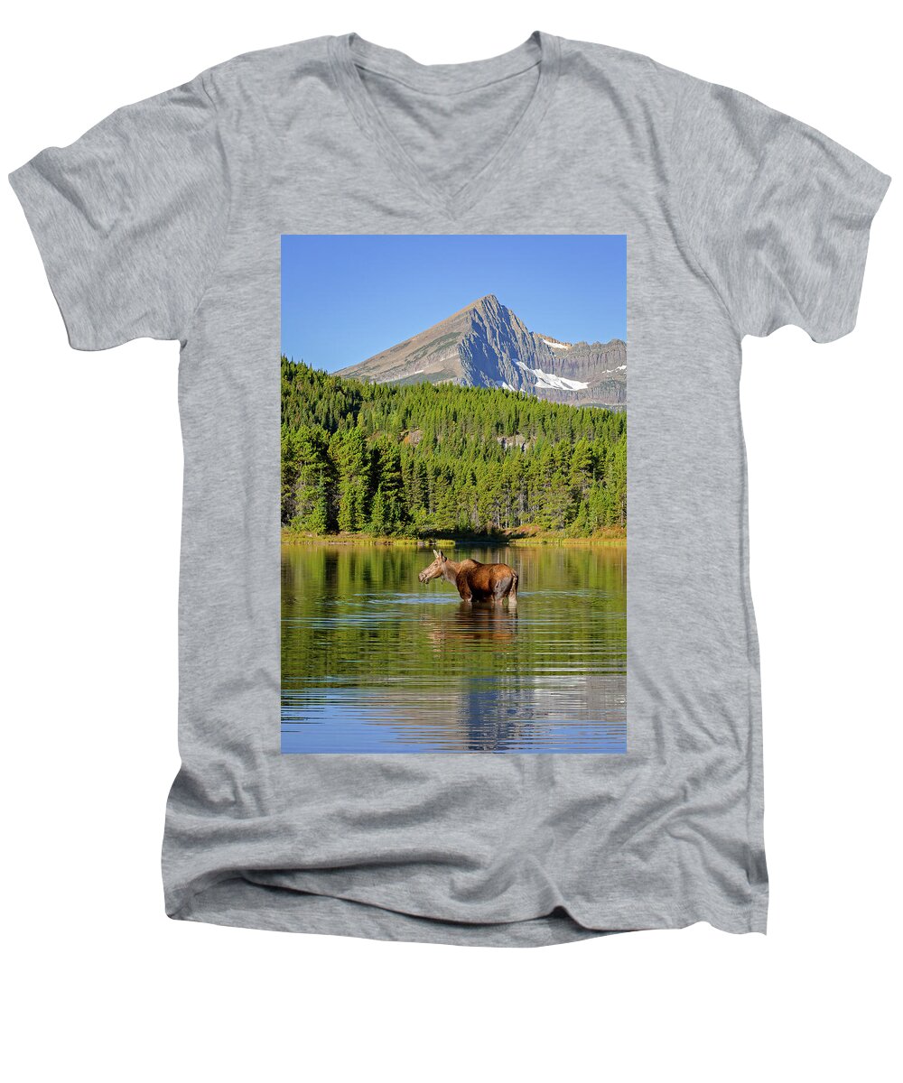 Glacier National Park Men's V-Neck T-Shirt featuring the photograph Moose and Swiftcurrent Mountain by Jack Bell