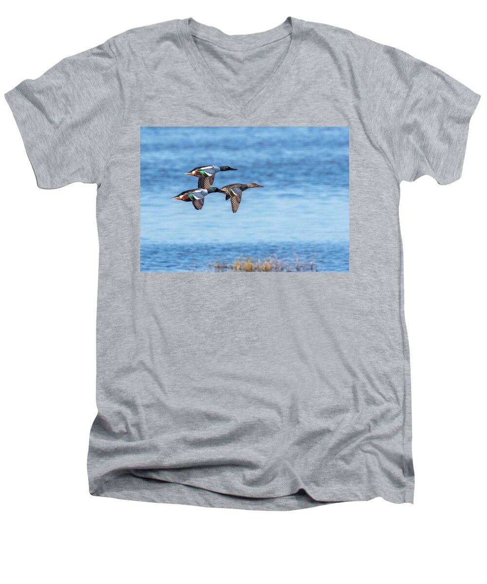 Northern Shovelers Men's V-Neck T-Shirt featuring the photograph Northern Shovelers by Jerry Cahill