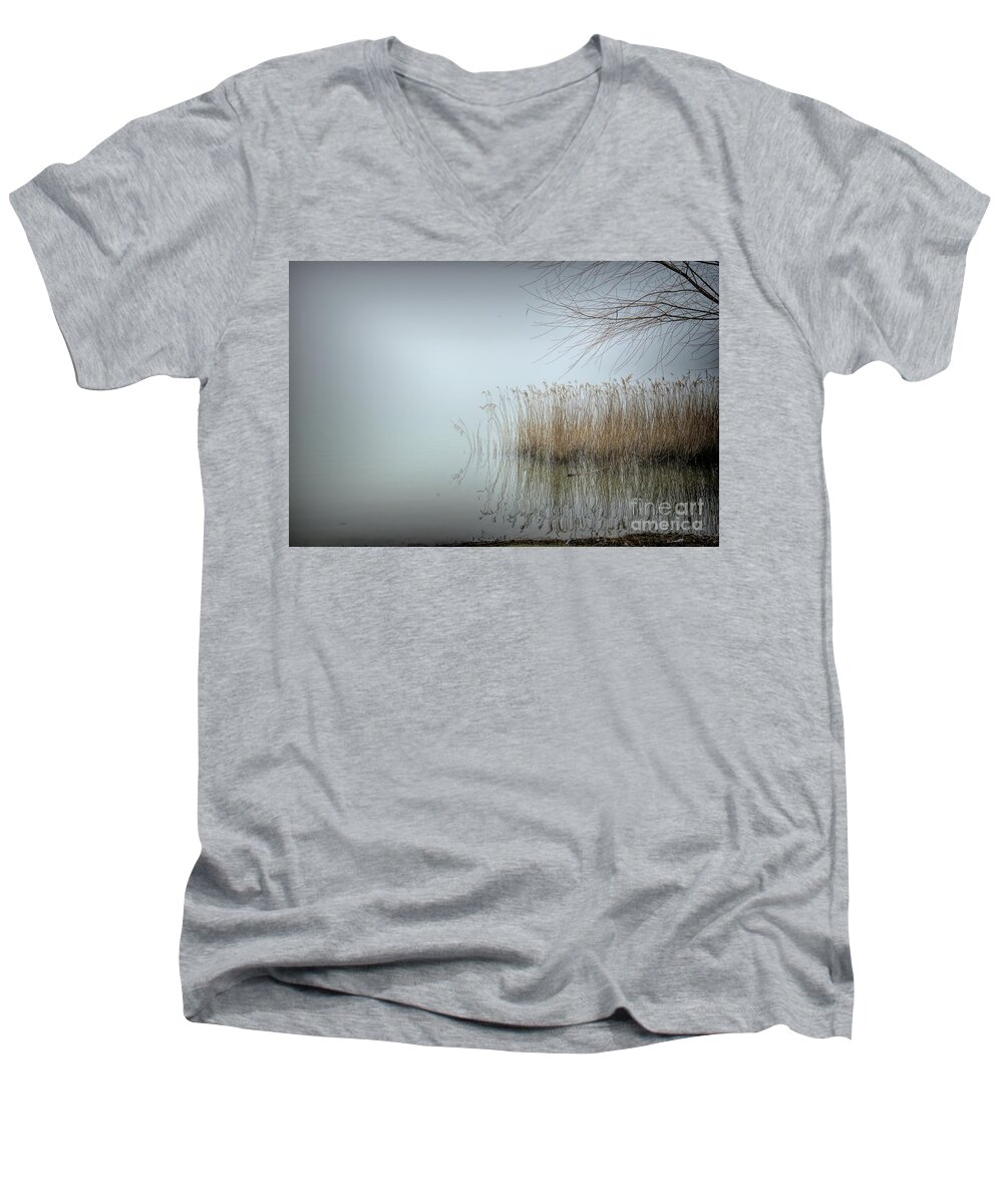 Phragmites Grass Men's V-Neck T-Shirt featuring the photograph Phragmites Grass in Fog by Diana Mary Sharpton