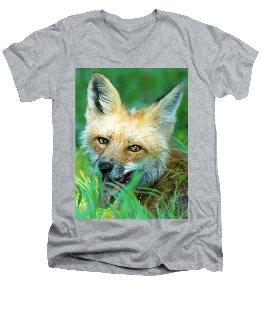Red Fox Men's V-Neck T-Shirt featuring the photograph Red Fox by Gary Beeler