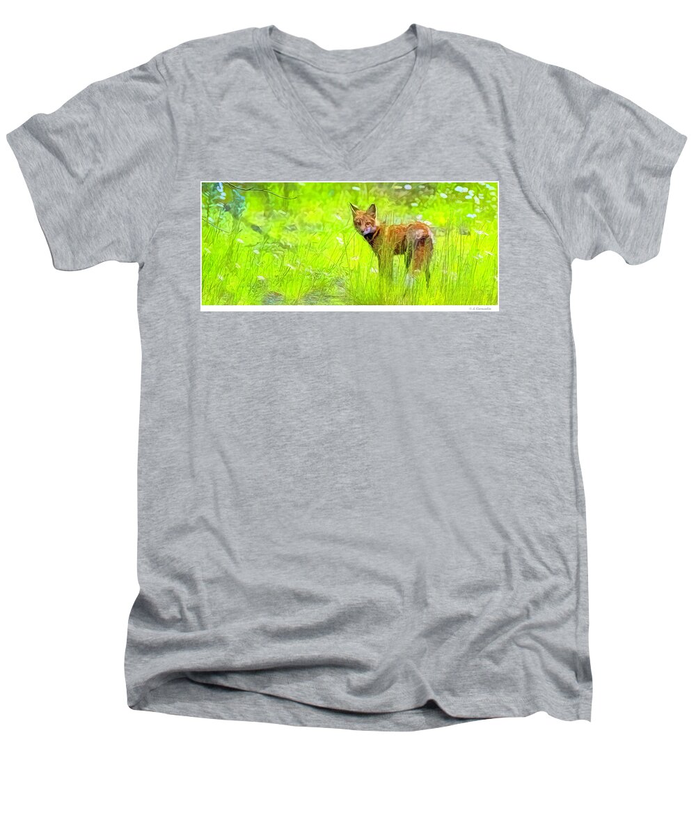 Mammal Men's V-Neck T-Shirt featuring the digital art Red Fox, Mountain Meadow by A Macarthur Gurmankin