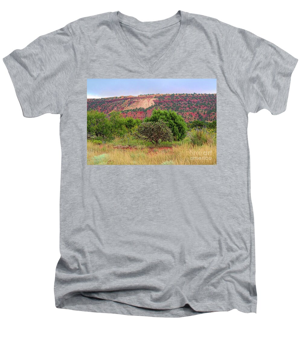 Landscape Men's V-Neck T-Shirt featuring the photograph Red Terrain - New Mexico by Diana Mary Sharpton
