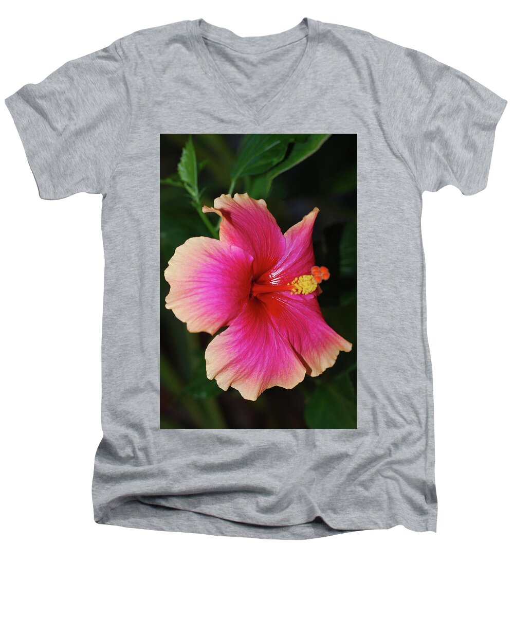 Hibiscus Men's V-Neck T-Shirt featuring the photograph Rise and Shine - Hibiscus Face by Connie Fox
