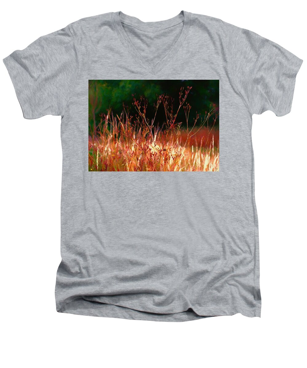 Nature Men's V-Neck T-Shirt featuring the mixed media Seedheads II by Charmaine Zoe