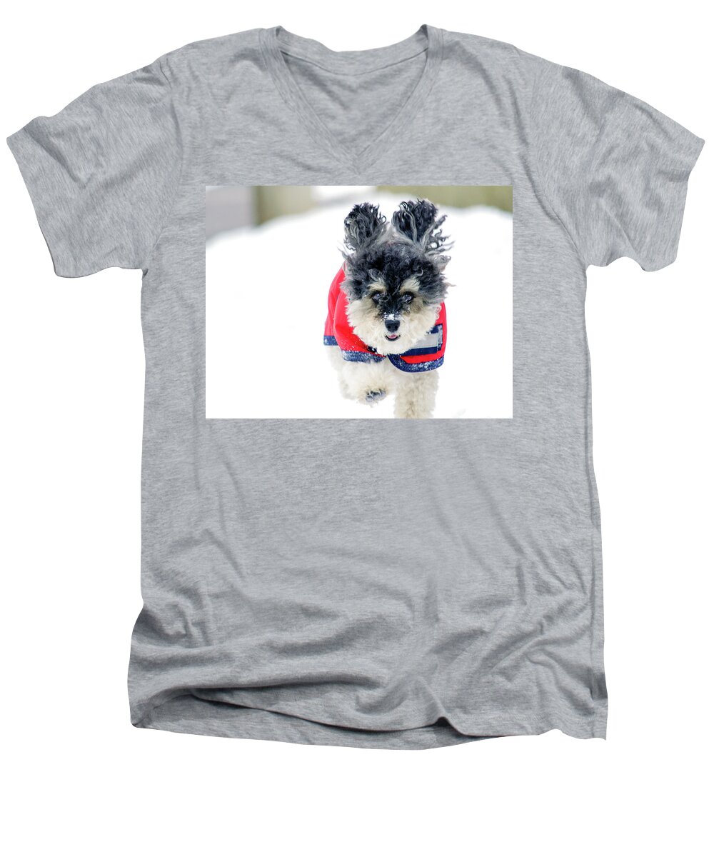 Dog Men's V-Neck T-Shirt featuring the photograph Snow Charge by Keith Armstrong