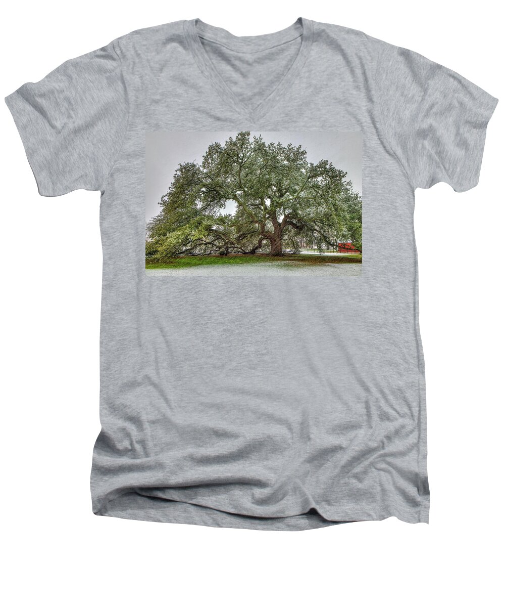 Emancipation Oak Men's V-Neck T-Shirt featuring the photograph Snowfall on Emancipation Oak Tree by Jerry Gammon