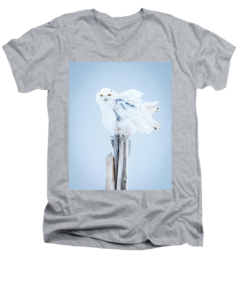 Snowy Owl Men's V-Neck T-Shirt featuring the photograph Snowy Owl Feather Shake by Judi Dressler
