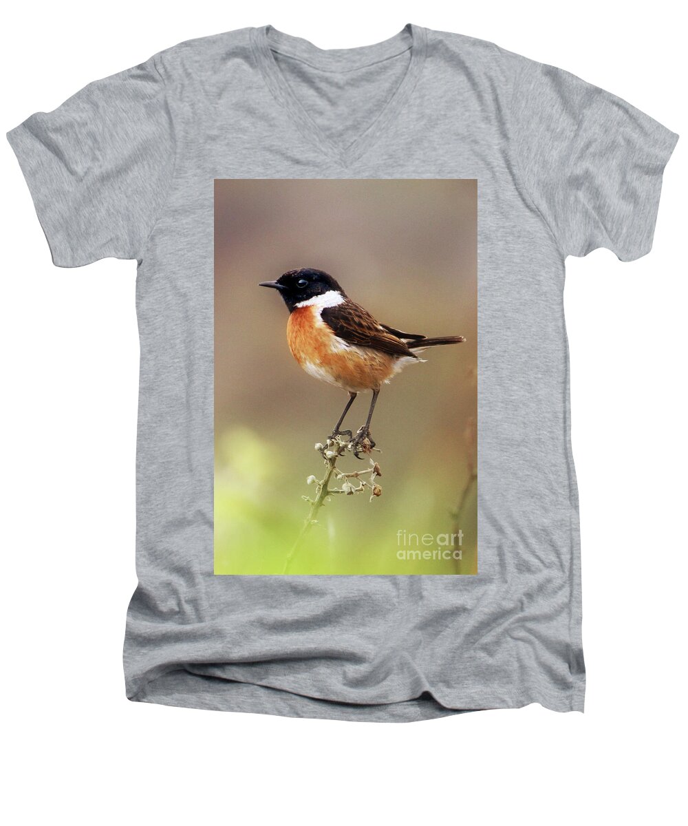 Stonechat Men's V-Neck T-Shirt featuring the photograph Stonechat by Terri Waters