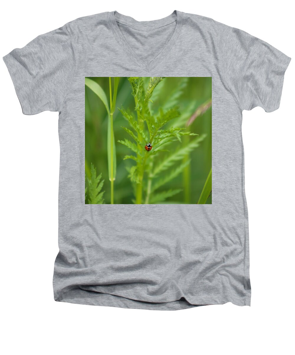 Summer Men's V-Neck T-Shirt featuring the photograph Summer by Jeanette Rode Dybdahl