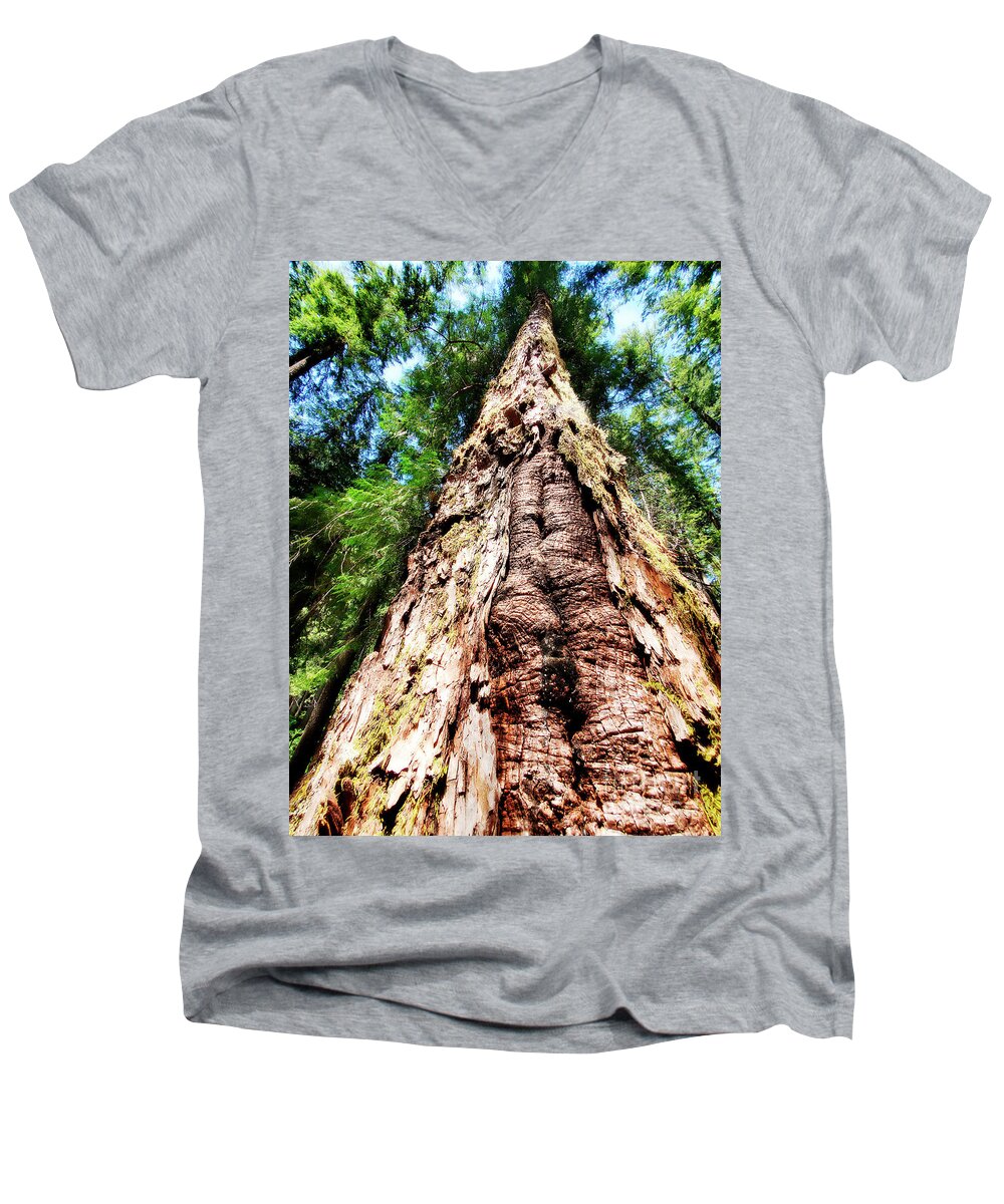 Tree Men's V-Neck T-Shirt featuring the photograph The Brightest Tree by Janie Johnson