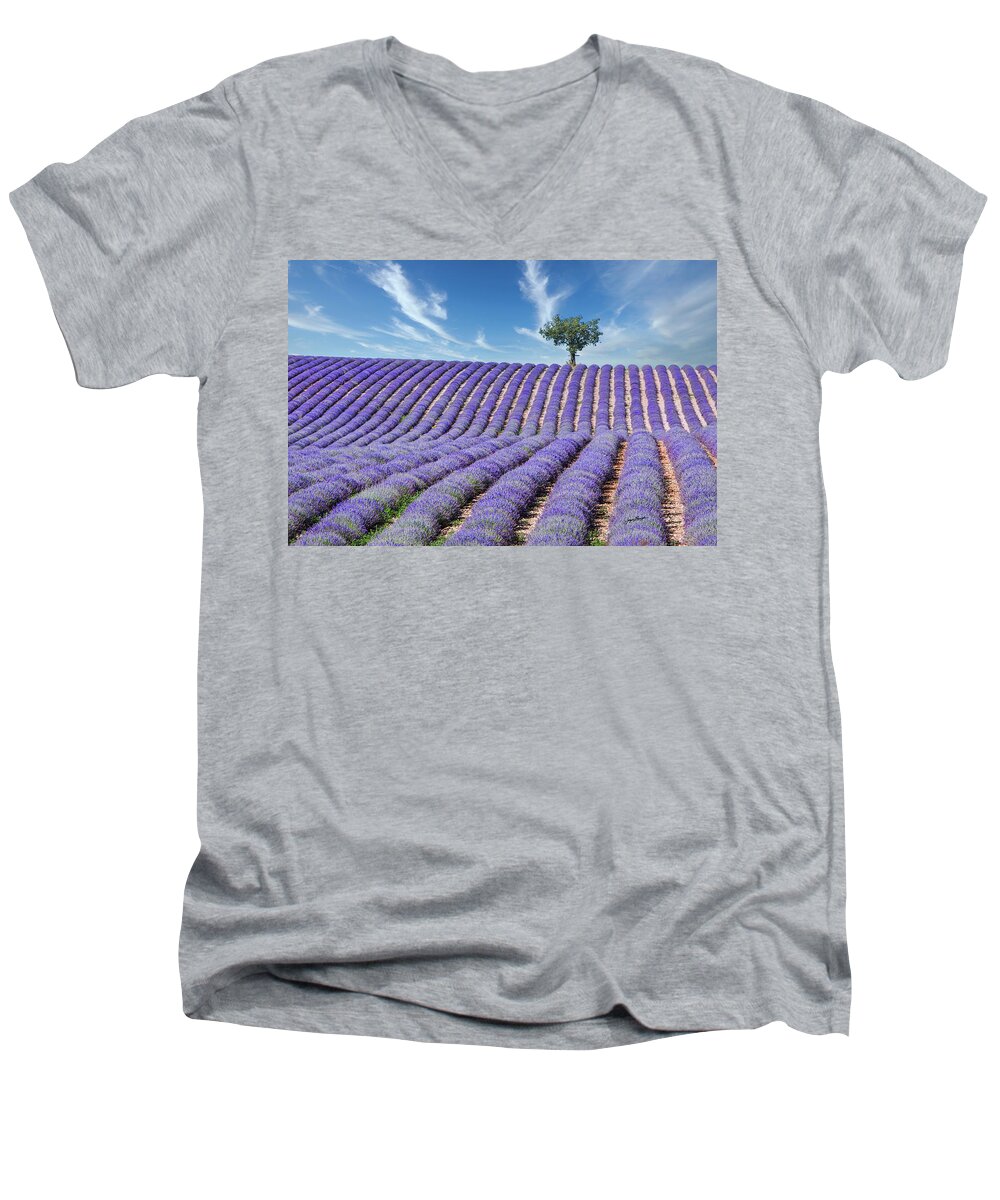 Lavender Field Men's V-Neck T-Shirt featuring the photograph Tree in Provence by Jurgen Lorenzen