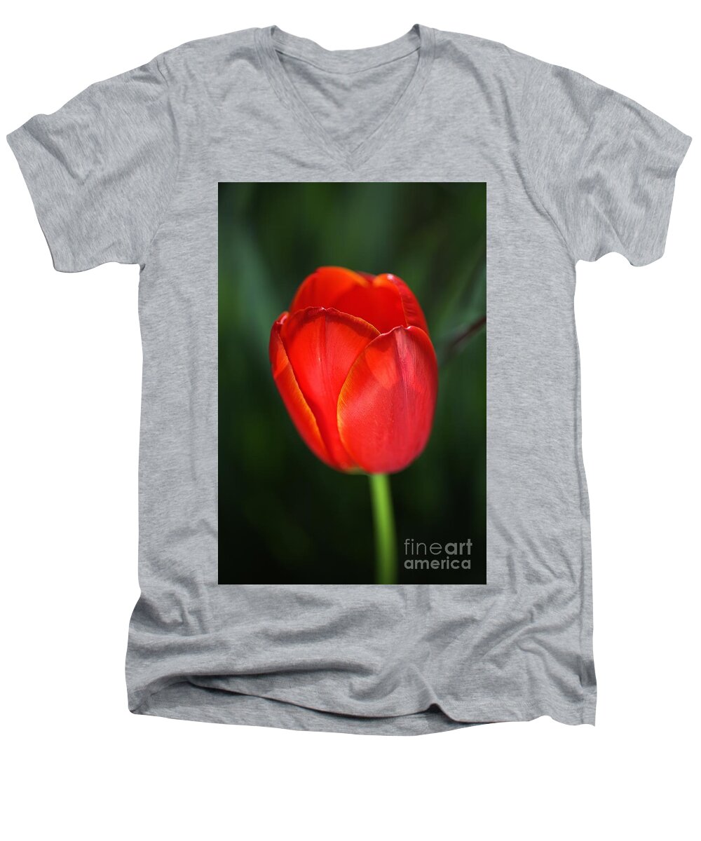 Tulip Men's V-Neck T-Shirt featuring the photograph Tulip Red With A Hint Of Yellow by Joy Watson