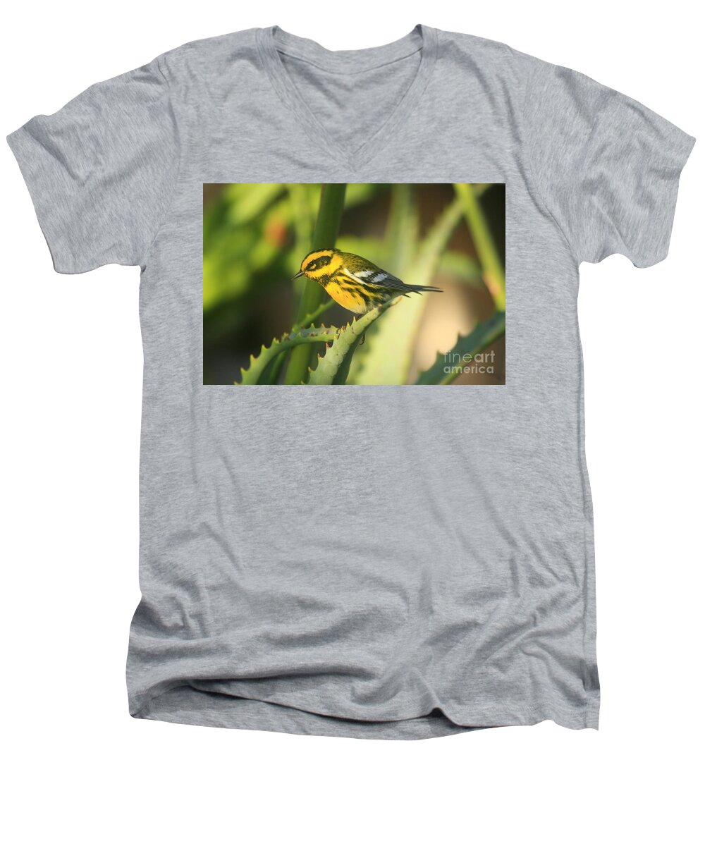 Birds Men's V-Neck T-Shirt featuring the photograph Yellow Fellow by John F Tsumas