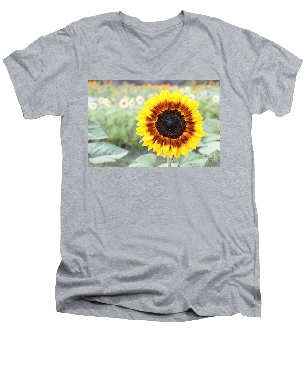 Sunflower Men's V-Neck T-Shirt featuring the photograph Yellow Sunflower by Vivian Krug Cotton