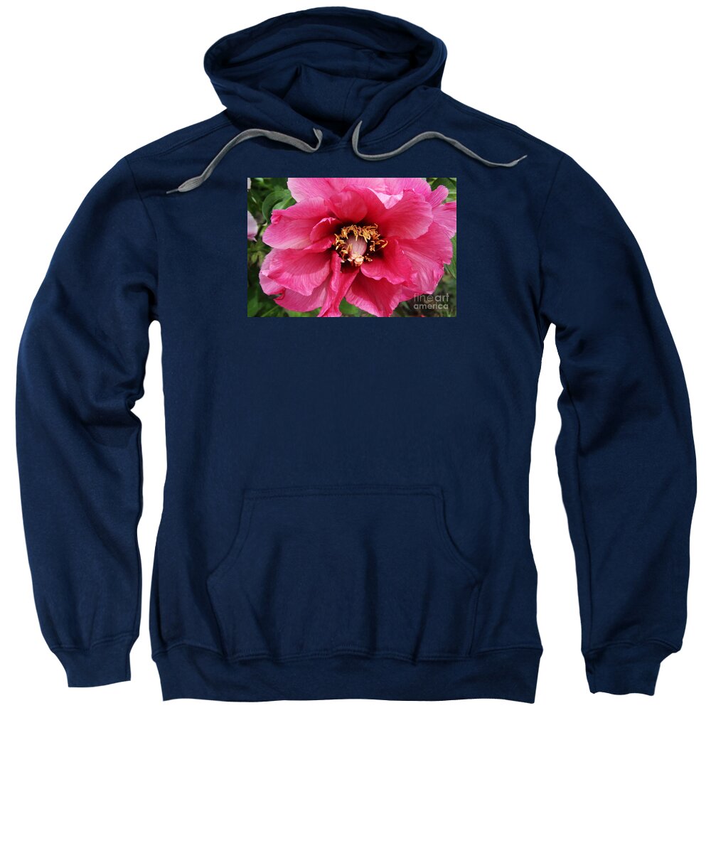 Peonies Sweatshirt featuring the photograph Pink Peony #3 by Christiane Schulze Art And Photography