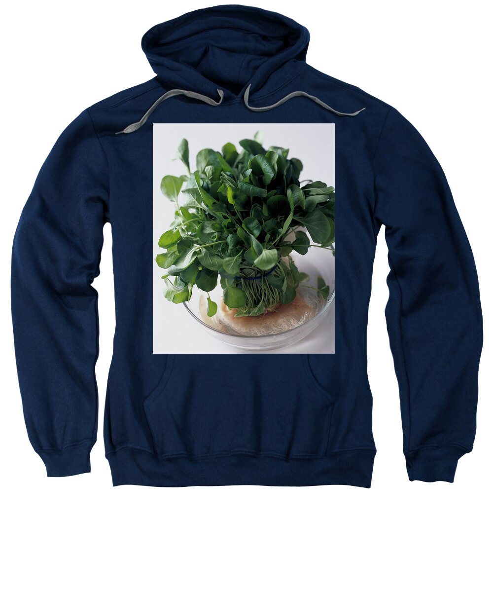 Fruits Sweatshirt featuring the photograph A Watercress Plant In A Bowl Of Water by Romulo Yanes