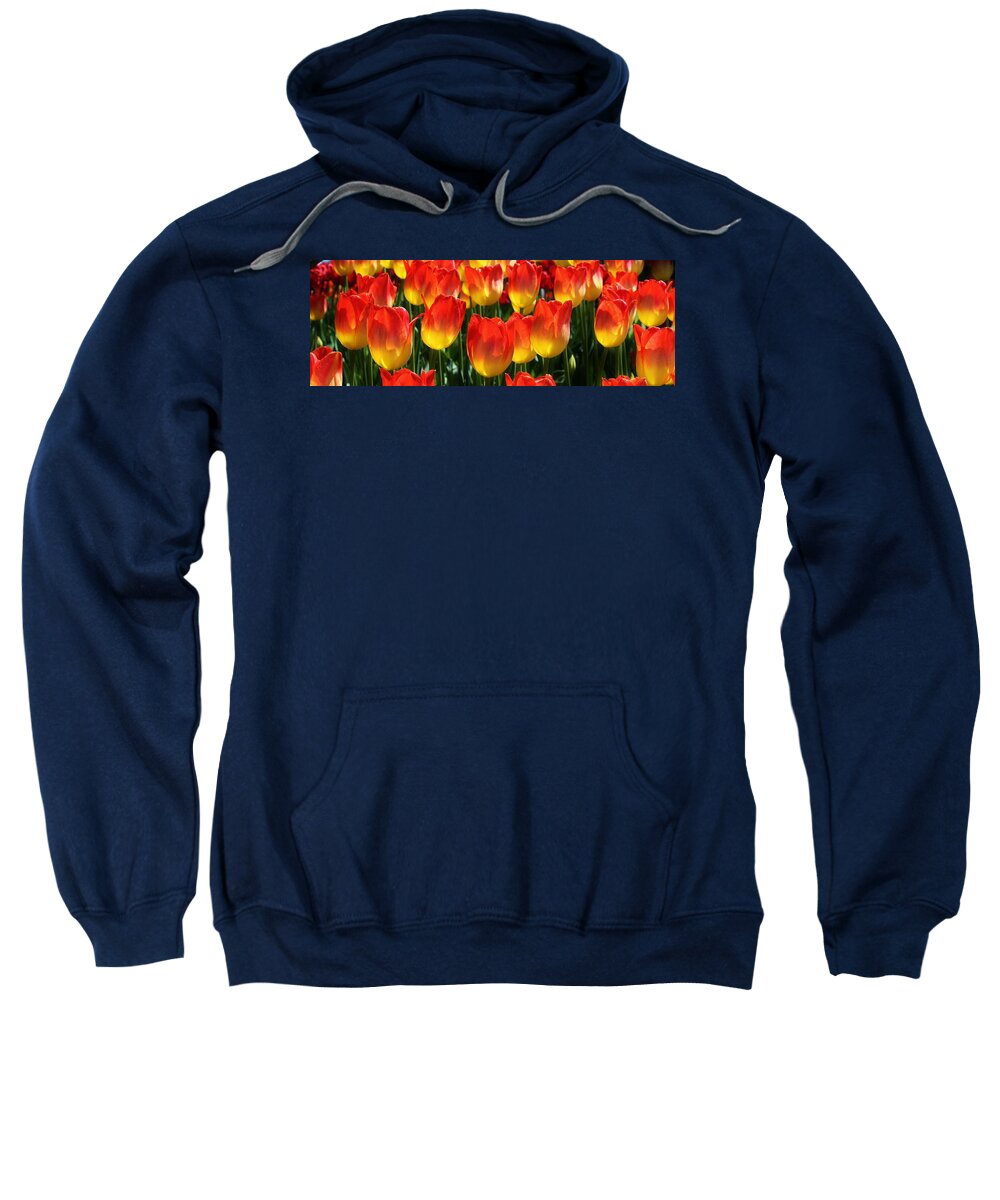 Flora Sweatshirt featuring the photograph Blazing Color by Bruce Bley