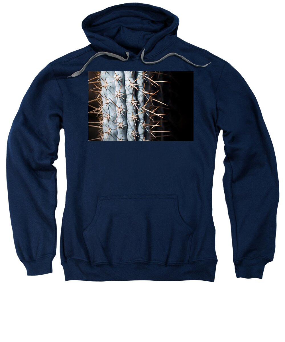 Botanical Sweatshirt featuring the photograph Blue Cactus by John Wadleigh