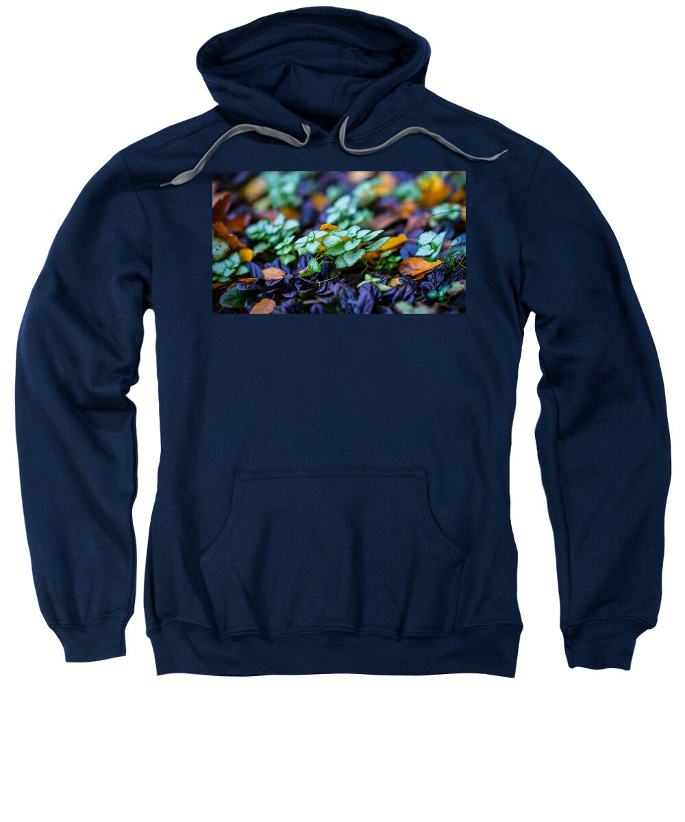 Plants Sweatshirt featuring the photograph Colors by David Downs