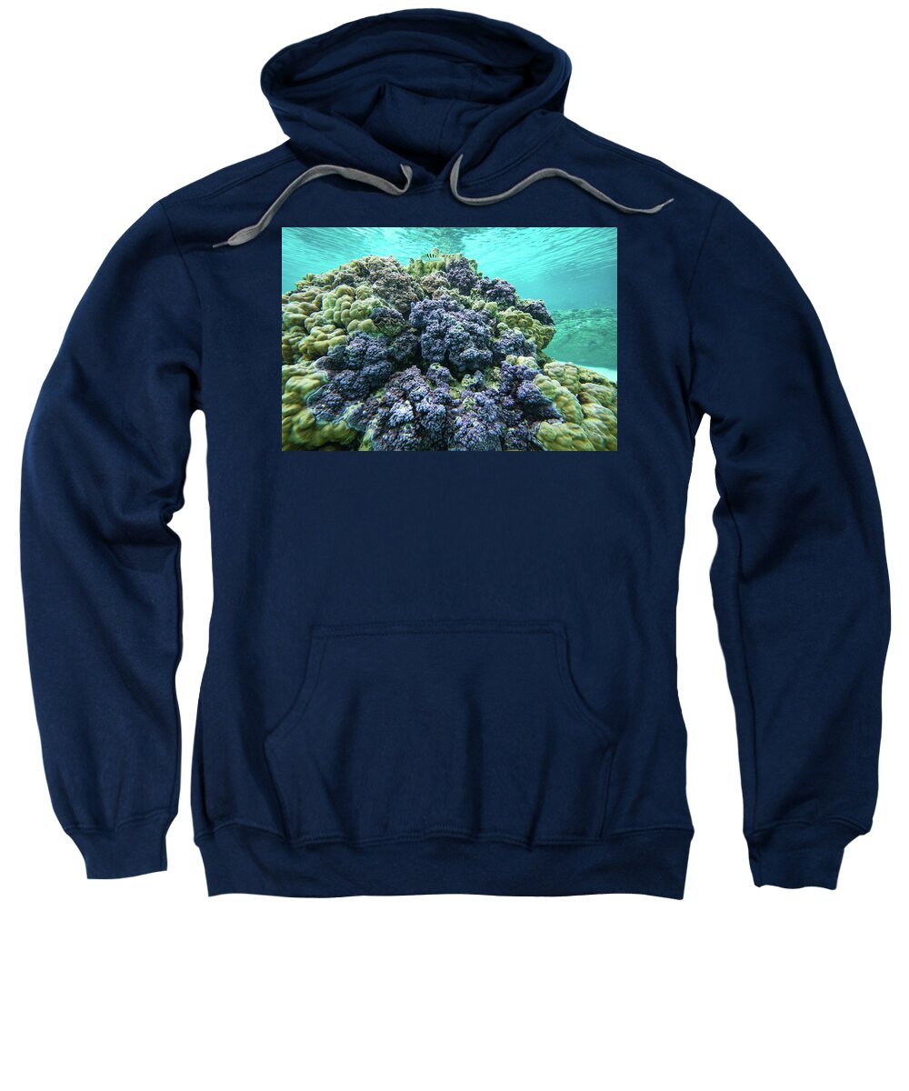 Photography Sweatshirt featuring the photograph Coral Reef In The Pacific Ocean by Animal Images