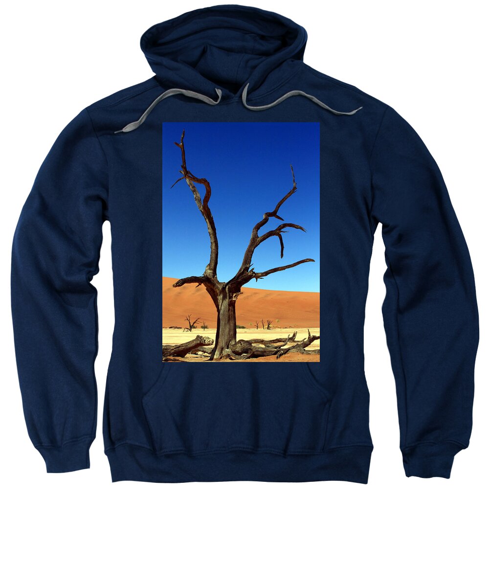Africa Sweatshirt featuring the photograph Dead Vlei Fork Tree by Aidan Moran
