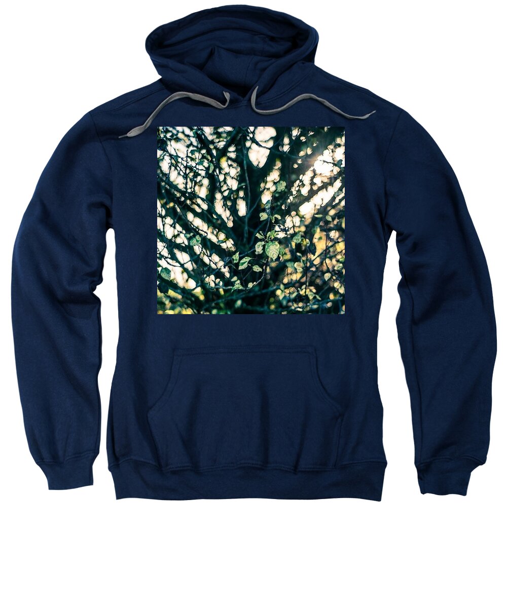 Beautiful Sweatshirt featuring the photograph Feeling Golden by Aleck Cartwright