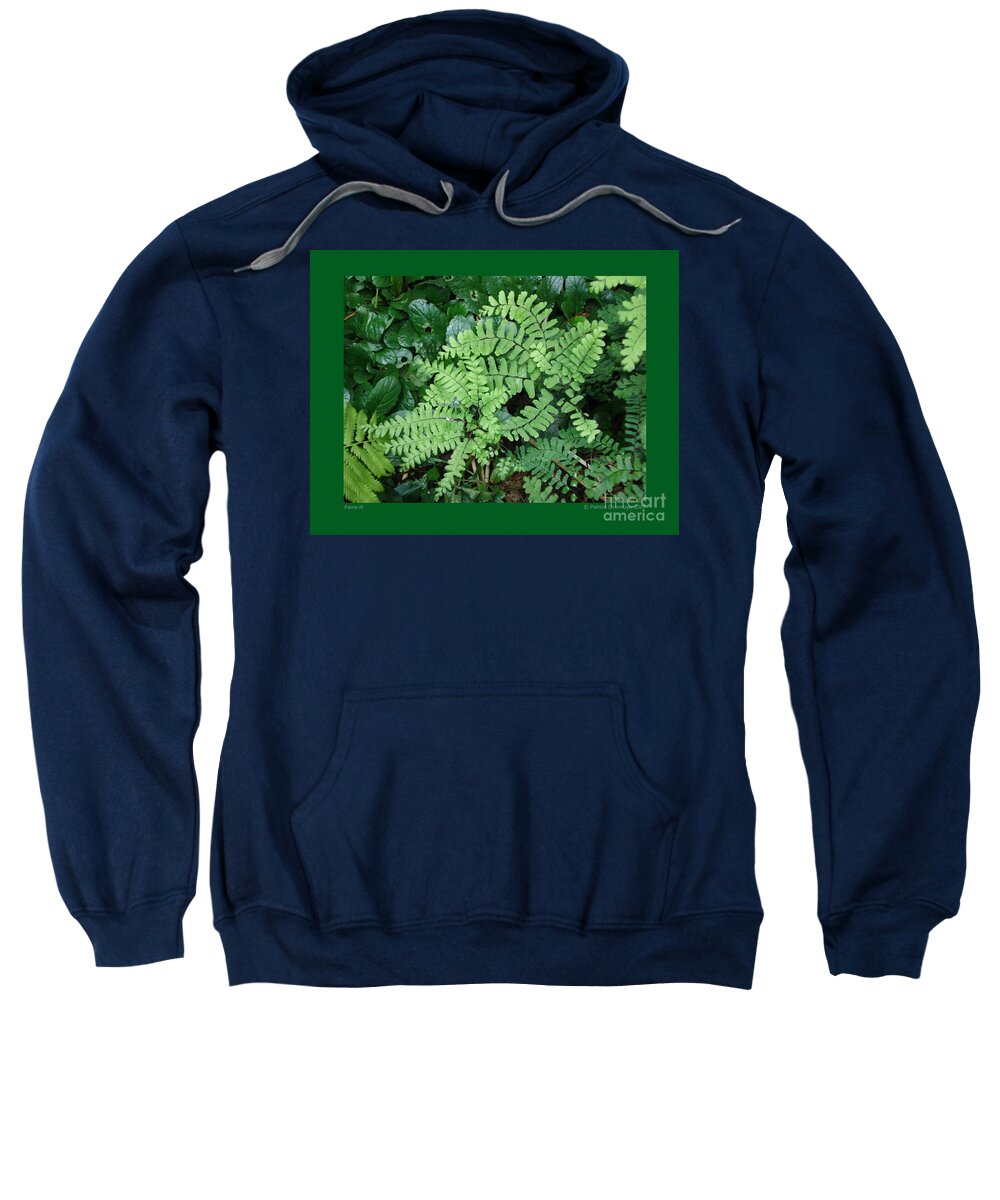 Fern Sweatshirt featuring the photograph Ferns-III by Patricia Overmoyer